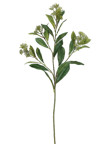 28.5" Skimmia Spray  Green (pack of 12)