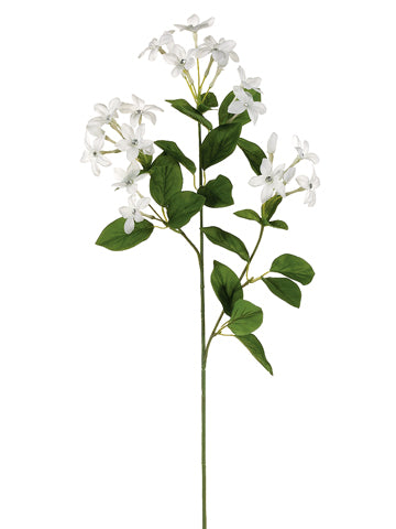 27" Jeweled Stephanotis Spray  White (pack of 12)