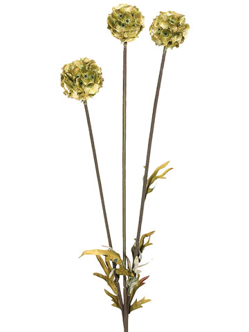 24" Scabiosa Spray x3 w/6 Lvs.  Green (pack of 12)