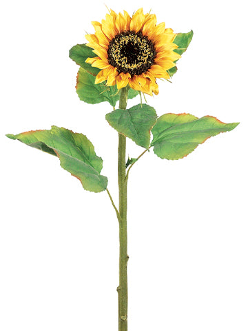 31" Sunflower Stem with Brown Center Yellow (pack of 12)