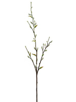 36" Large Pussy Willow Stem x32 Gray (pack of 12)