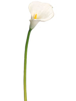28" Large Calla Lily Spray  White (pack of 12)