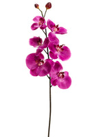 29" Decor Phalaenopsis Orchid Spray Violet (pack of 12)