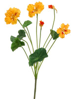 15.5" Nasturtium Bush  Yellow Gold (pack of 12)