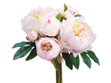 Cream Cerise