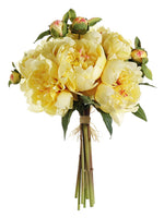 Light Yellow