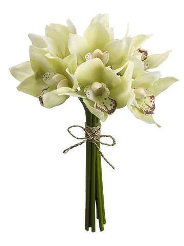 10" Cymbidium Orchid Bouquet  Green (pack of 12)