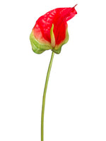 Red Green