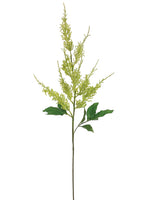 39" Astilbe Spray  Green Cream (pack of 12)