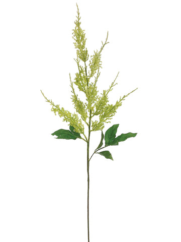 39" Astilbe Spray  Green Cream (pack of 12)