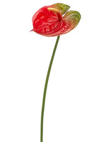 Red Green