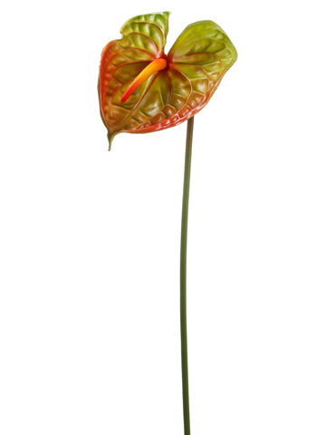 28" Anthurium Spray  Green Burgundy (pack of 12)