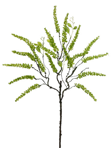 38" Amaranthus Spray  Green (pack of 12)