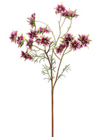 Boysenberry