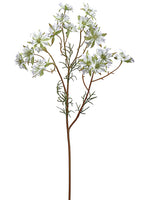 White Lavender