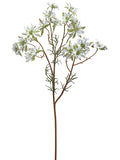 White Lavender
