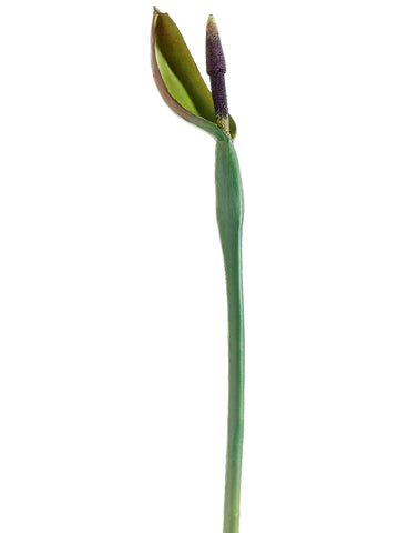 31" Tropical Bud Spray  Green Plum (pack of 6)