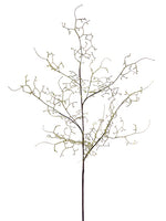 50" Curly Branch  Sage (pack of 12)
