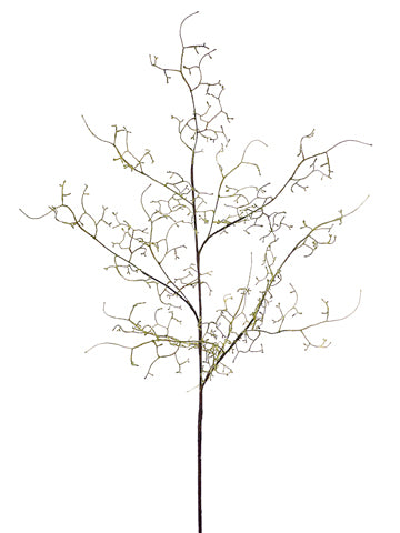50" Curly Branch  Sage (pack of 12)