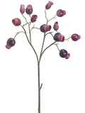 Plum