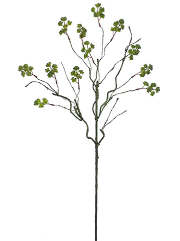 36" Blossom Branch  Lime (pack of 12)