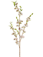 41" Hybrid Cherry Blossom Spray Cream Rubrum (pack of 12)