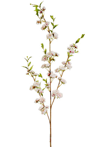 41" Hybrid Cherry Blossom Spray Cream Rubrum (pack of 12)