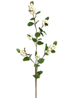 31" Japanese Snowberry Spray  Cream (pack of 6)