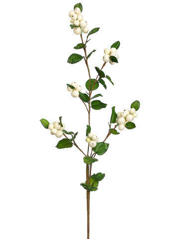 31" Japanese Snowberry Spray  Cream (pack of 6)