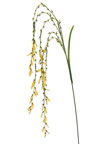 54" Golden Rain Blossom Spray  Yellow (pack of 12)