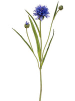 Blue Violet