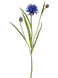 Blue Violet