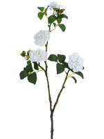 31" Camellia Spray  White (pack of 6)