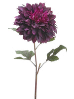 Eggplant
