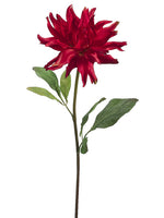 Tomato Red
