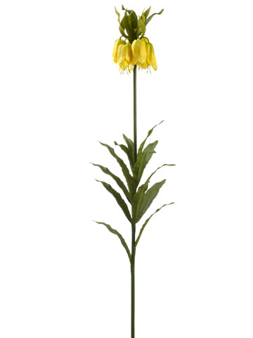54" Imperial Crown Fritillaria Spray Yellow (pack of 6)
