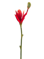 38" Banana Flower Spray  Orange Red (pack of 12)
