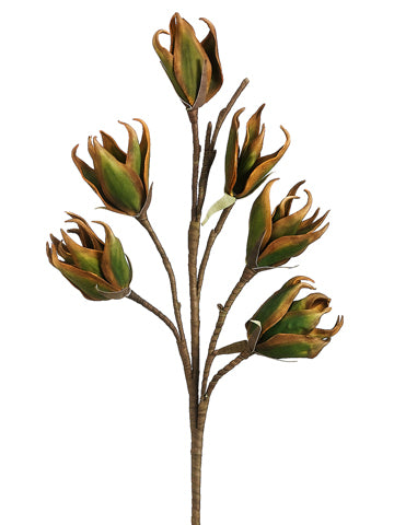 28" New Zealand Flax Bloom Spray Green (pack of 12)