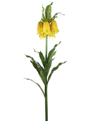 34" Imperial Crown Fritillaria Spray Yellow (pack of 12)