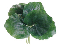 8.5" Galax Leaf Bundle x6  Green (pack of 12)