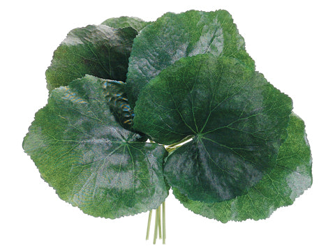 8.5" Galax Leaf Bundle x6  Green (pack of 12)