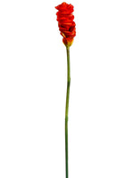 32" Ginger Flower Spray  Red (pack of 12)