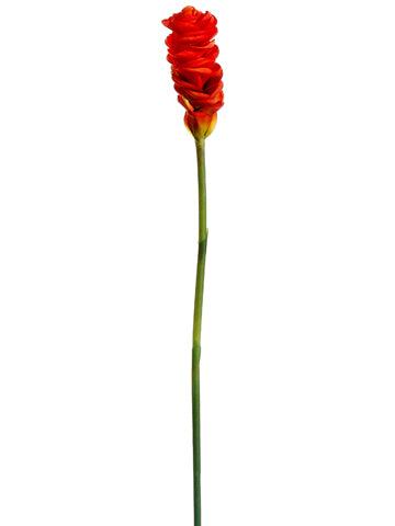 32" Ginger Flower Spray  Red (pack of 12)