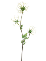 34" Clematis Seed Spray  Green (pack of 12)