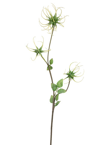 34" Clematis Seed Spray  Green (pack of 12)