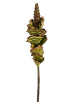 28" Exotic Guzmania Bloom Spray Green (pack of 12)