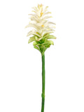 Cream Green