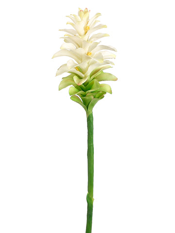 Cream Green