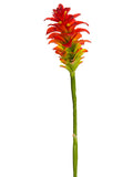 Red Orange