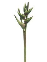 38" Hawaiian Heliconia Spray  Green (pack of 6)